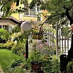 Andro Apartament