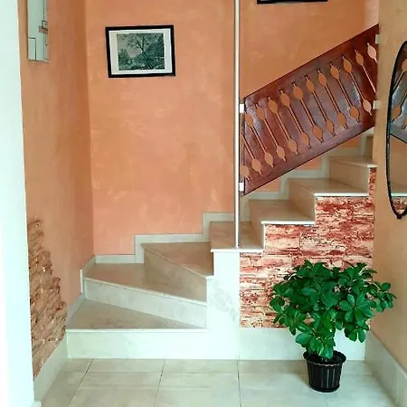 Appartement Andro *